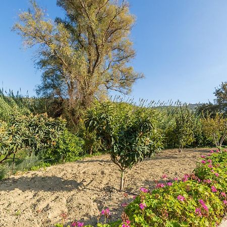 Villa Galateia Dhafnes Pokój zdjęcie